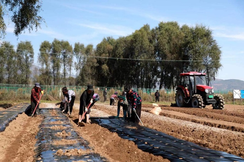 1698822648322639.jpg 微信圖片_20231101151000.jpg