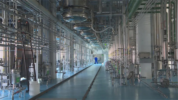 1717549262836997.jpg 5.jpg