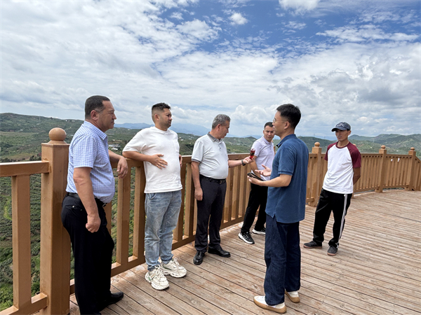 1752471245666600.jpg 3.jpg