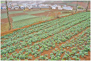 眾人拾柴火焰高